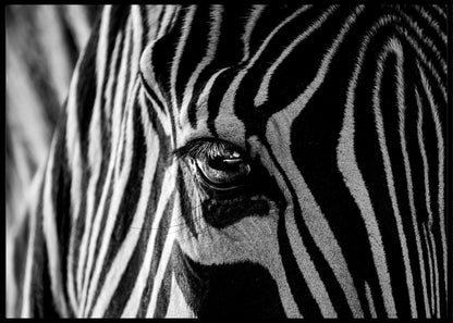 Abstract zebra poster - Plakatbar.no