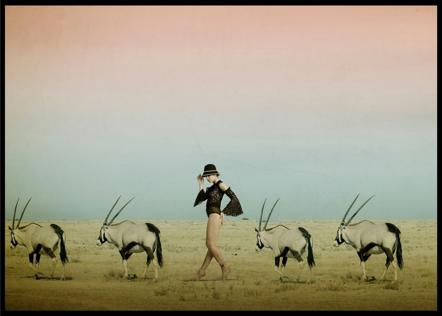 Africa poster - Plakatbar.no