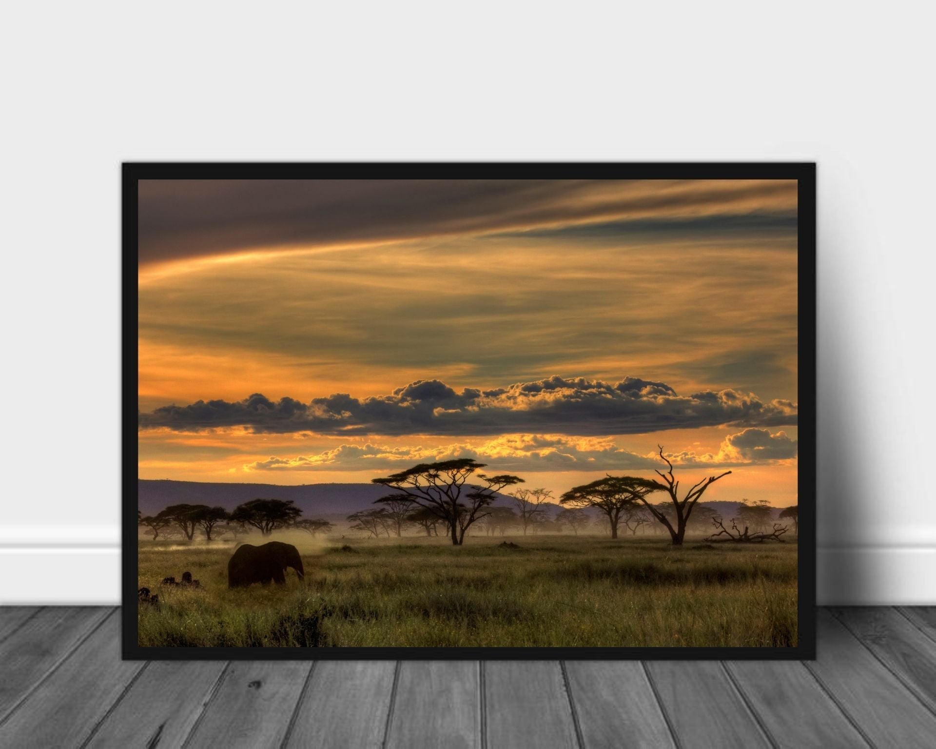 Afrika landskap poster - Plakatbar.no