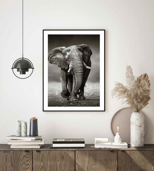 Afrikansk elefant i Etosha National Park (Namibia) - Plakat - Plakatbar.no