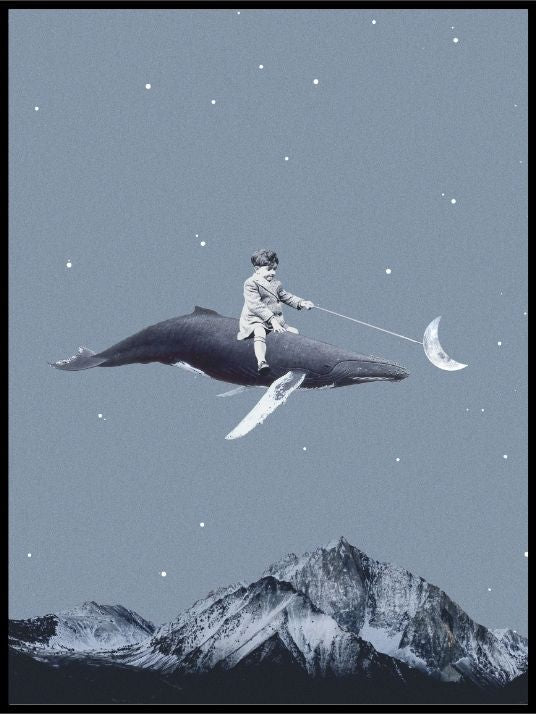 Aim for the moon poster - Plakatbar.no