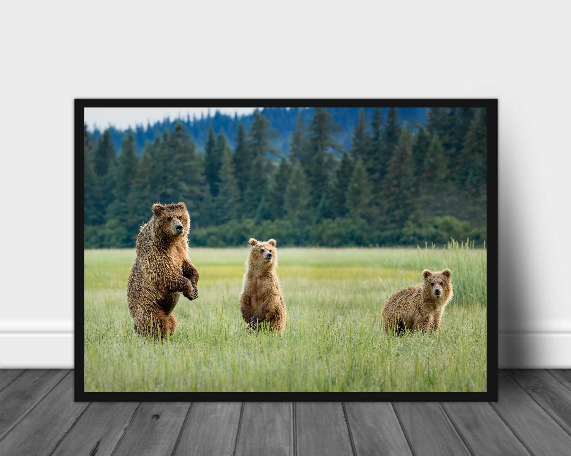 Alert poster - Plakatbar.no