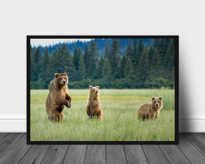 Alert poster - Plakatbar.no