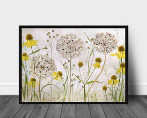 Alliums and heleniums poster - Plakatbar.no