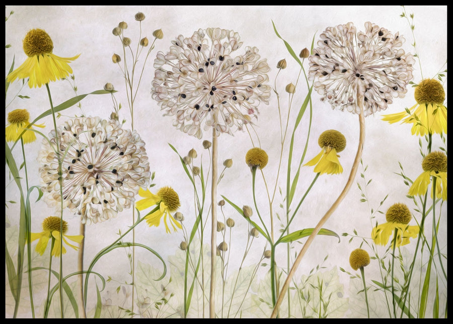 Alliums and heleniums poster