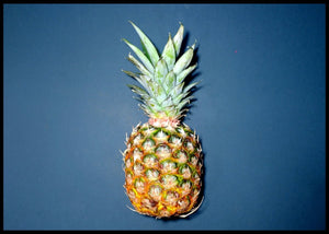 Ananas fashion poster - Plakatbar.no