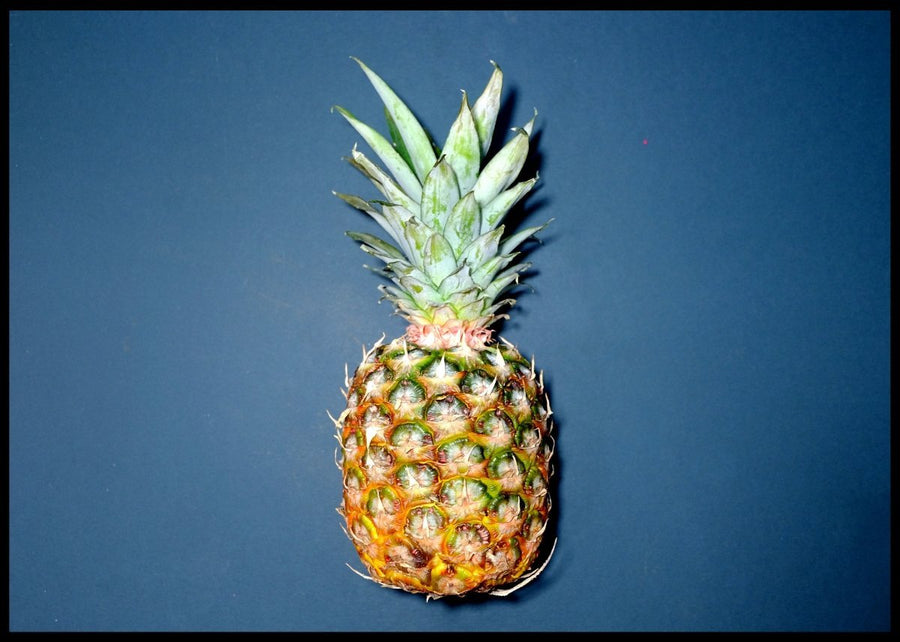 Ananas mode plakat