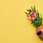 Ananas med solbriller poster - Plakatbar.no