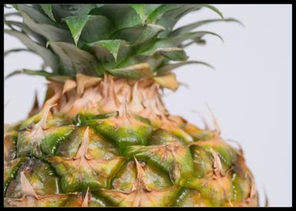 Ananas poster - Plakatbar.no