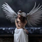 Angel Wings - Stort lerret - Plakatbar.no