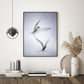 Artic Tango - Poster - Plakatbar.no
