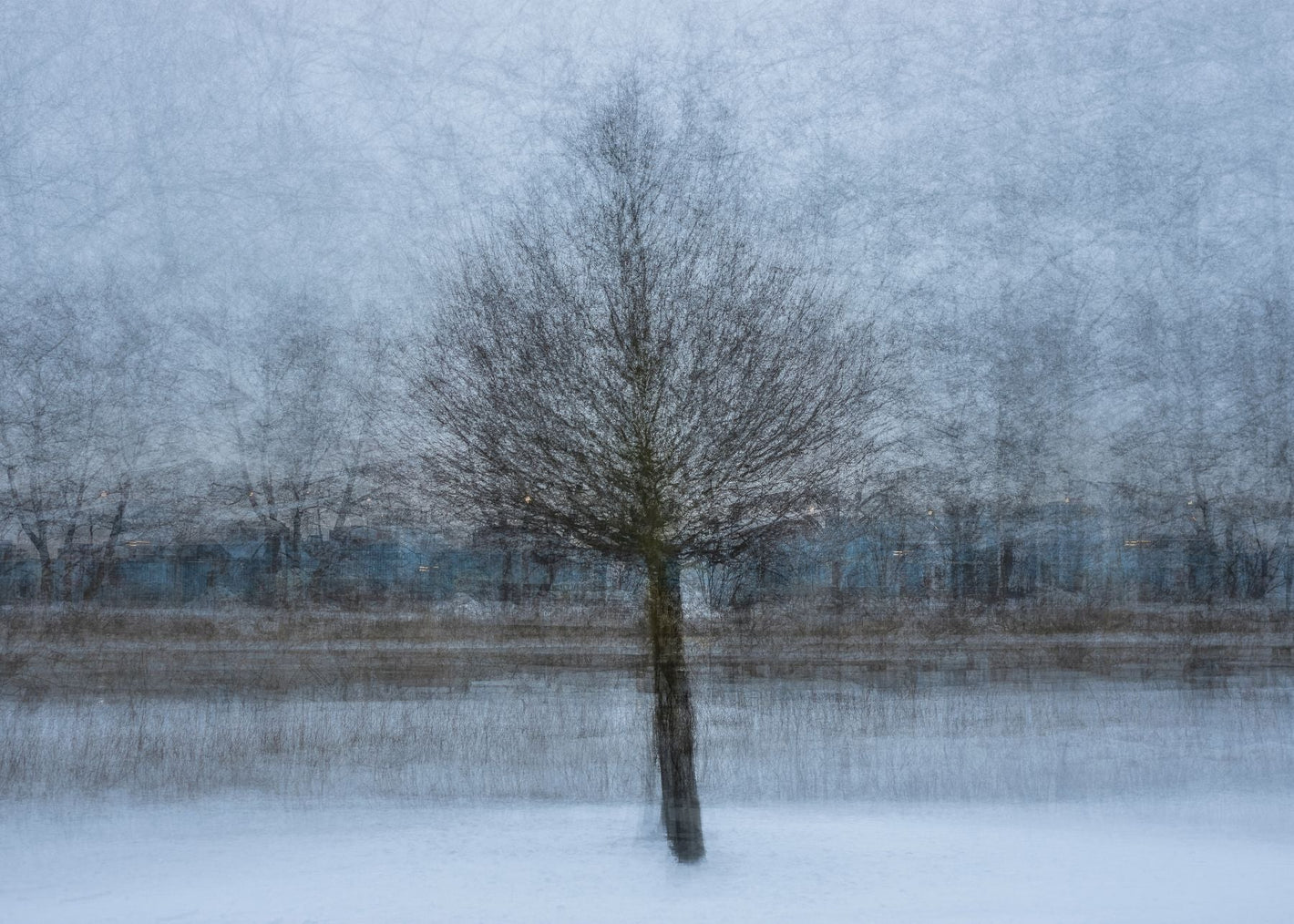 At the shore of the frozen river poster - Plakatbar.no