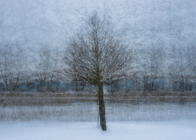 At the shore of the frozen river poster - Plakatbar.no