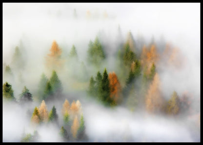 Autumn Dream poster - Plakatbar.no