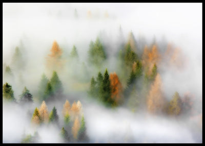 Autumn Dream poster - Plakatbar.no