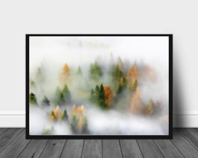 Autumn Dream poster - Plakatbar.no