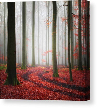 Autumnal tracks - kvadratisk lerret - Plakatbar.no