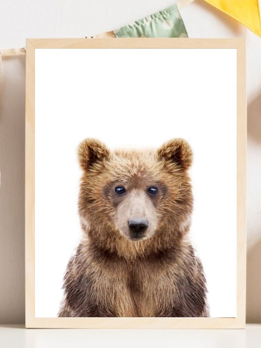 Baby Bear - Plakatbar.no