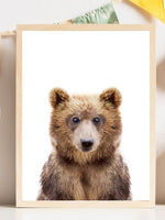 Baby Bear - Plakatbar.no