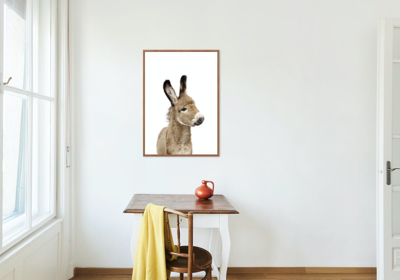 Baby Donkey - Plakatbar.no