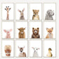 Baby Donkey - Plakatbar.no