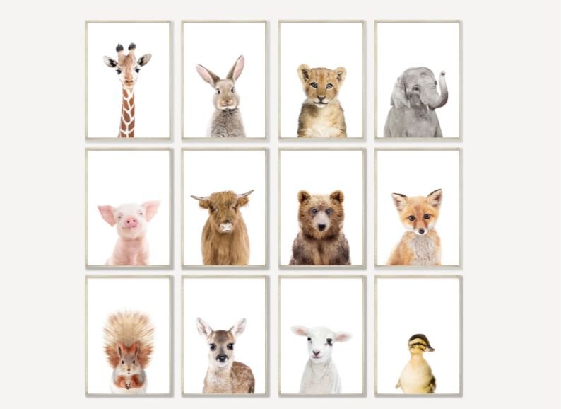 Baby Donkey - Plakatbar.no