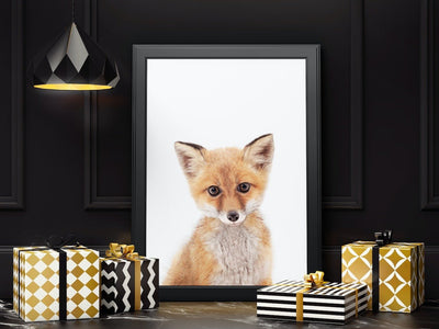 Baby Fox - Plakatbar.no