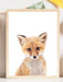 Baby Fox - Plakatbar.no
