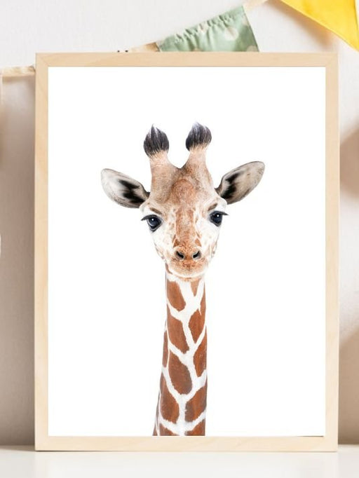 Baby Giraffe - Plakatbar.no