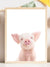 Baby Pig - Plakatbar.no