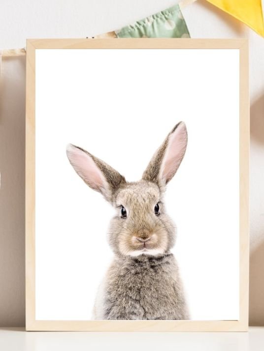 Baby Rabbit - Plakatbar.no