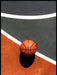 Basketball - plakat - Plakatbar.no
