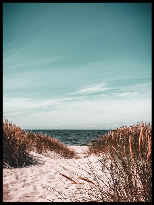 Beach and gras - Poster - Plakatbar.no
