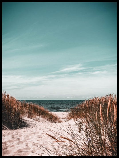 Beach and gras - Poster - Plakatbar.no