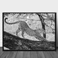 Beautiful cat poster - Plakatbar.no