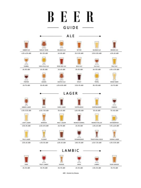 Beer guide - Plakat - Plakatbar.no