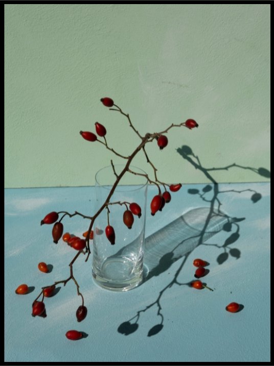 Berries Plakat eller Lerret - Plakatbar.no