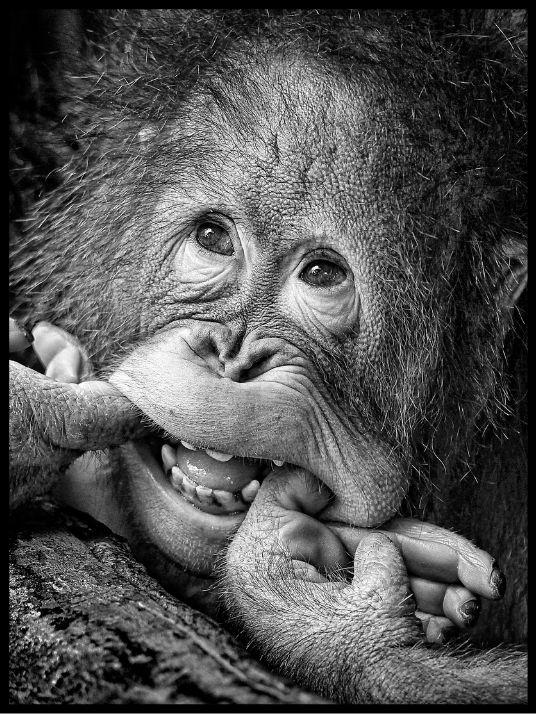 Big smile....please poster - Plakatbar.no