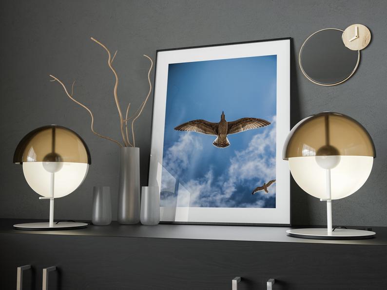 Bird Fligh Poster - Plakatbar.no