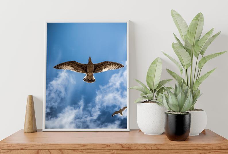 Bird Fligh Poster - Plakatbar.no
