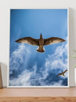 Bird Fligh Poster - Plakatbar.no