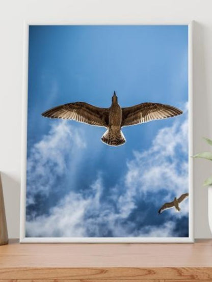 Bird Fligh Poster - Plakatbar.no
