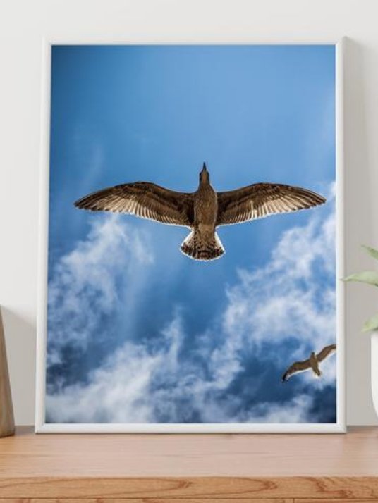 Bird Fligh Poster
