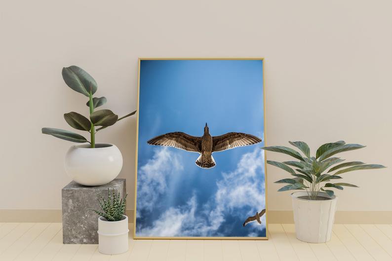 Bird Fligh Poster - Plakatbar.no