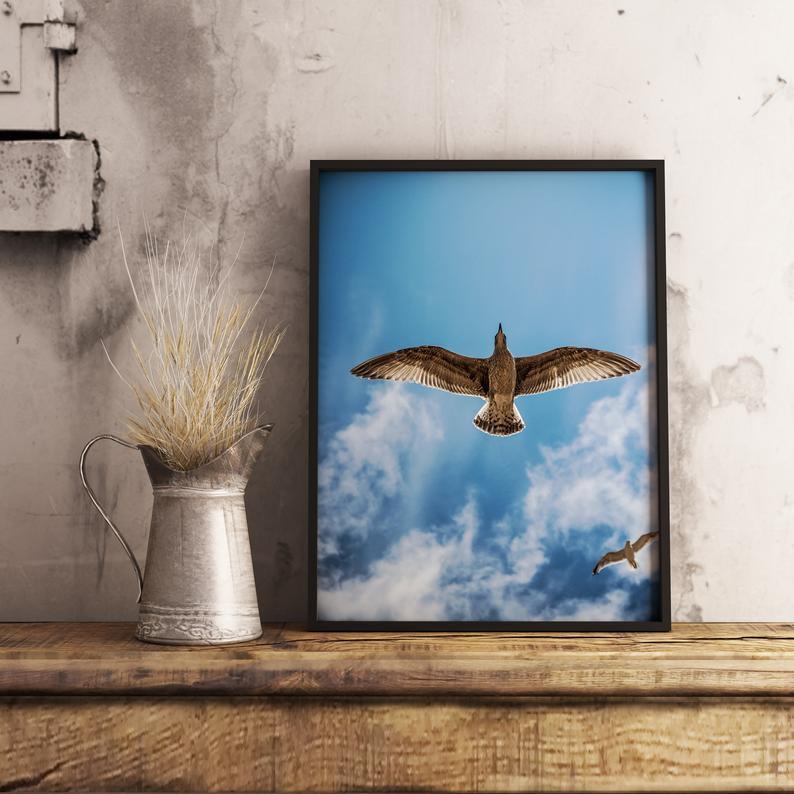 Bird Fligh Poster - Plakatbar.no