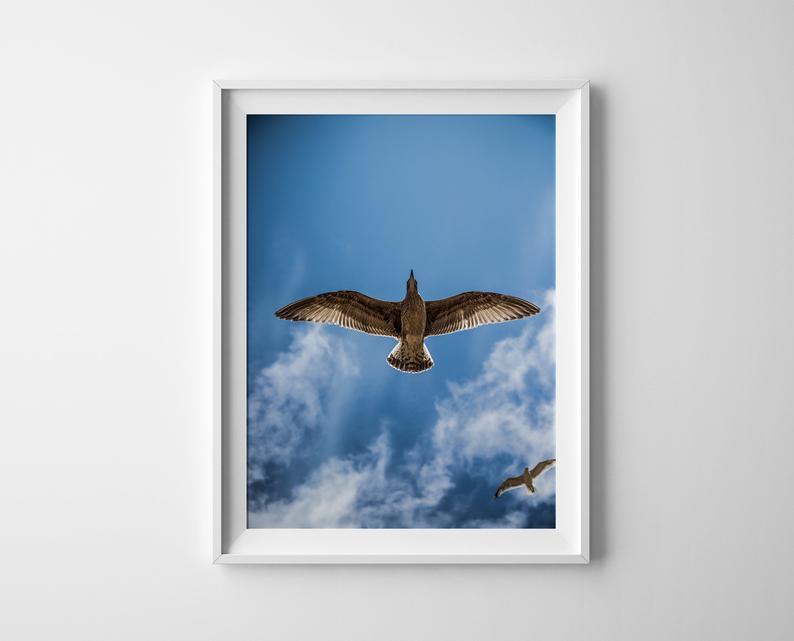 Bird Fligh Poster - Plakatbar.no