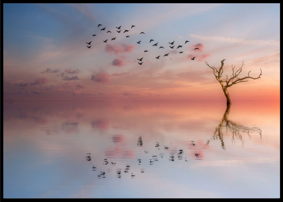 Birds and the sky poster