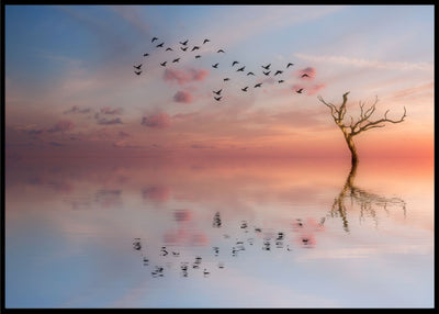 Birds and the sky poster - Plakatbar.no