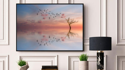 Birds and the sky poster - Plakatbar.no