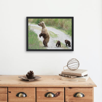 Bjørnemamme med unger - poster - Plakatbar.no
